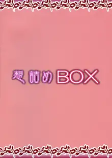 想詰めBOX 45, 日本語