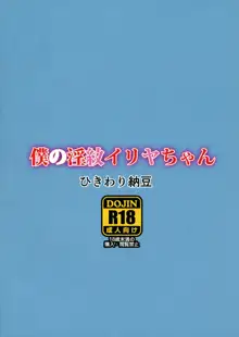 僕の淫紋イリヤちゃん, 日本語