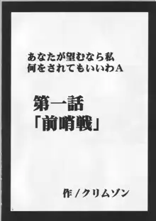 あなたが望むなら私何をされてもいいわＡ, 日本語