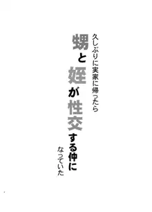 久しぶりに実家に帰ったら甥と姪が性交する仲になっていた, 日本語