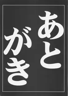 少尉の穢れた戦災復興, 日本語