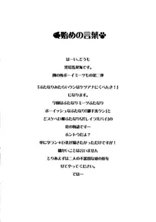 ふたなりみたらいクンはケツアナにくべんき!, 日本語