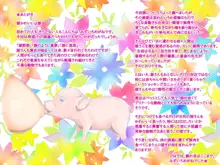 どうぶつ農場 3匹の子豚ちゃん編, 日本語