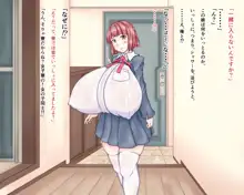 ウチの従妹がしばらく見ないうちにエラい超乳になってたんだけどどないせえっちゅうねん、という話。, 日本語