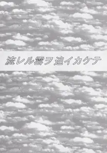 14さいマニュアル, 日本語