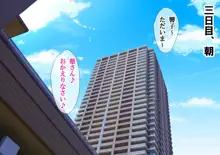 NTRダイアリー〜人妻、響子の日記〜, 日本語