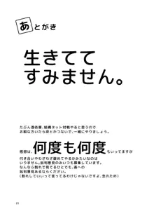 ナズーリンががんばる本, 日本語