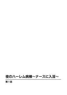 夜のハーレム病棟～ナースに入淫～, 日本語