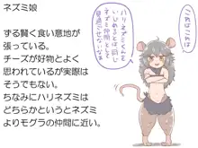 モンスター娘と。1+2+α, 日本語