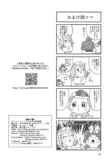 ヒミツの☆守り隊活動, 日本語