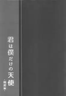 君は僕だけの天使 -純愛編-, 日本語