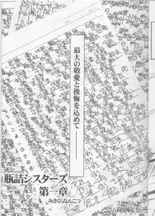 ビンズメシスターズ 瓶詰妹達1-B, 日本語