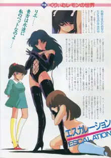 美少女アニメ大全集 - アダルトアニメビデオカタログ1991, 日本語