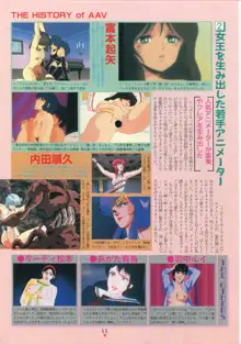 美少女アニメ大全集 - アダルトアニメビデオカタログ1991, 日本語