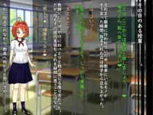 閃光輝星プリズミックシャイン, 日本語