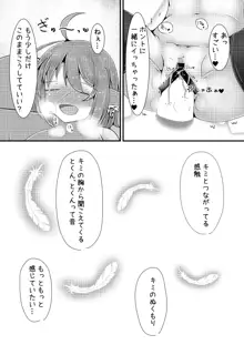 みすちーといちゃいちゃらぶらぶする本, 日本語