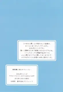 掃除機に吸われちゃった・・・, 日本語