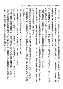 手ほどきスワッピングで堕とされた私, 日本語