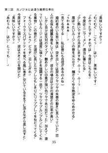 ひねくれナースの淫靡な策略, 日本語