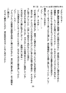 ひねくれナースの淫靡な策略, 日本語