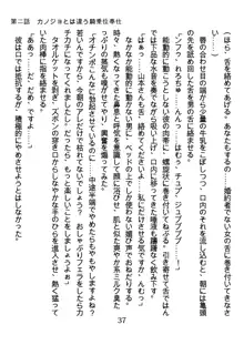 ひねくれナースの淫靡な策略, 日本語