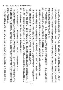 ひねくれナースの淫靡な策略, 日本語