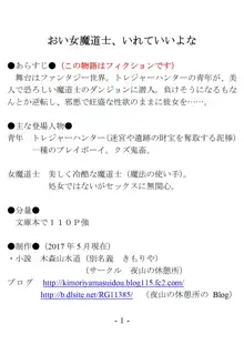 おい女魔道士、いれていいよな, 日本語