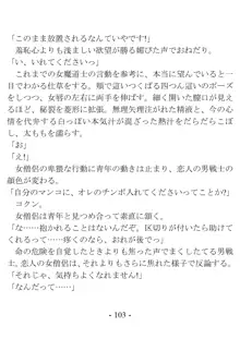 おい女魔道士、いれていいよな, 日本語