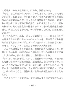 おい女魔道士、いれていいよな, 日本語