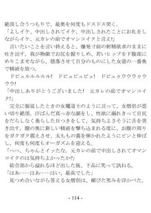 おい女魔道士、いれていいよな, 日本語