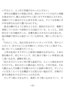 おい女魔道士、いれていいよな, 日本語