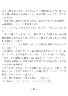 おい女魔道士、いれていいよな, 日本語