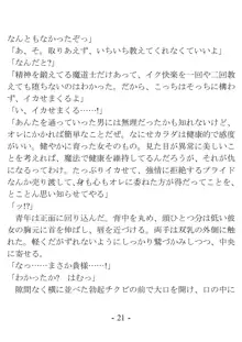 おい女魔道士、いれていいよな, 日本語