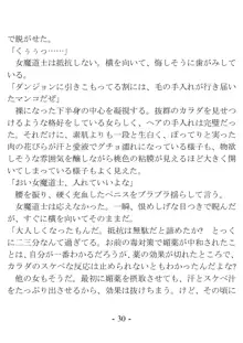 おい女魔道士、いれていいよな, 日本語