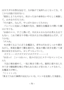 おい女魔道士、いれていいよな, 日本語