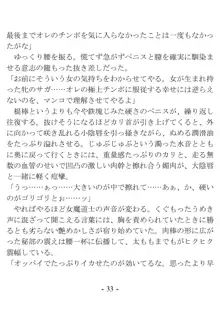 おい女魔道士、いれていいよな, 日本語