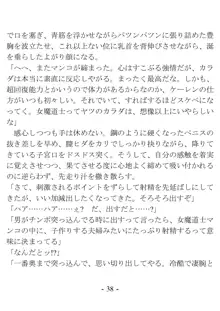 おい女魔道士、いれていいよな, 日本語