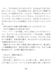 おい女魔道士、いれていいよな, 日本語