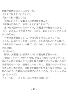 おい女魔道士、いれていいよな, 日本語