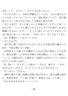 おい女魔道士、いれていいよな, 日本語