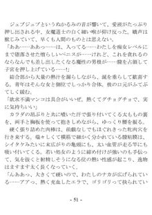 おい女魔道士、いれていいよな, 日本語