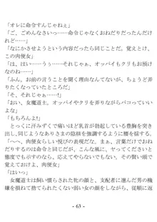 おい女魔道士、いれていいよな, 日本語