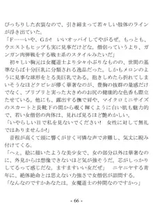 おい女魔道士、いれていいよな, 日本語