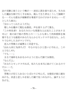 おい女魔道士、いれていいよな, 日本語