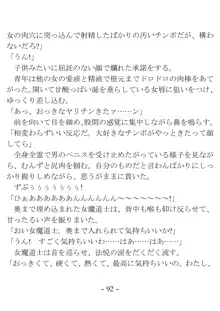 おい女魔道士、いれていいよな, 日本語