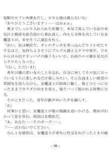 おい女魔道士、いれていいよな, 日本語