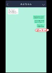 幼馴染催眠調教日記3, 日本語