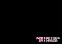 風紀委員長秋月琉花の寝取られ調教日誌, 日本語