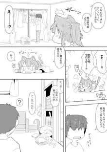 娘猫と遊ぼ!-あめあそび編-, 日本語