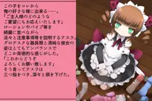 プリゲット!～人間じゃないお姫様たち～, 日本語